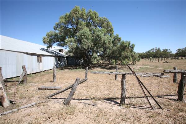 Bindara Station on the Darling - Period Homestead & Outbuildings (20/11/2015)
