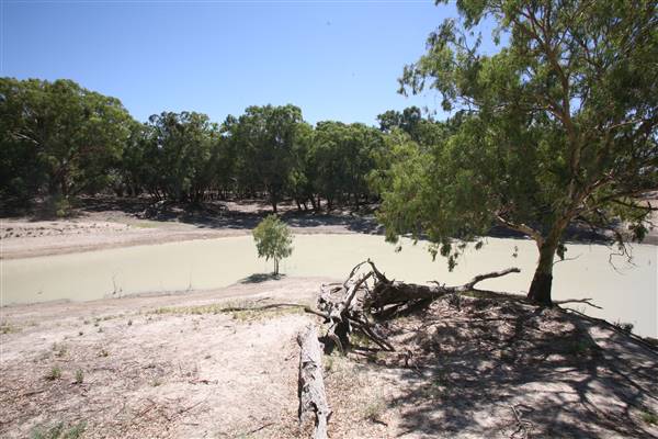 Bindara Station on the Darling - Period Homestead & Outbuildings (20/11/2015)