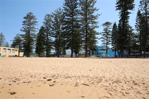Collaroy Beach (20/11/2015)