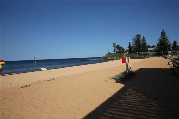 Collaroy Beach (20/11/2015)