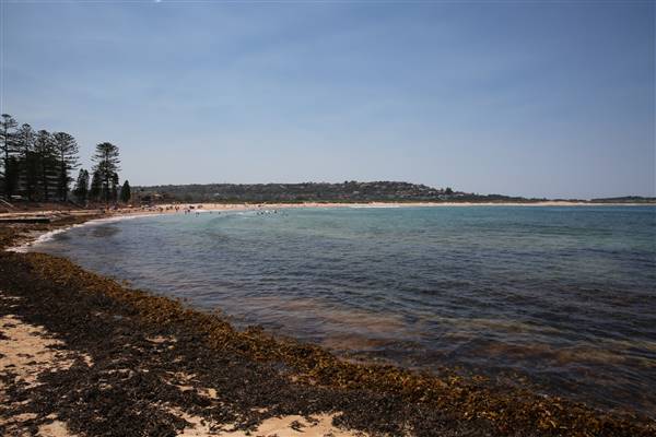 Dee Why Beach and Surrounds (20/11/2015 - Credits: Lisa Scope)