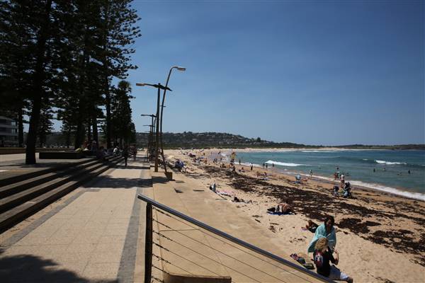 Dee Why Beach and Surrounds (20/11/2015 - Credits: Lisa Scope)