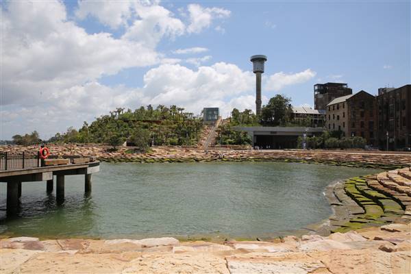 Barangaroo Reserve (25/11/2015)