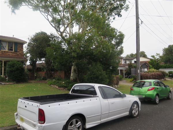 Mona Vale neighborhood (8/12/2015 - Credits: Peter Hicks)