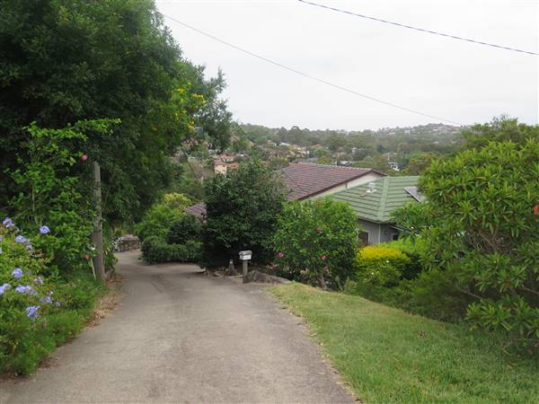 Manly Vale Neighbourhood (8/12/2015 - Credits: Peter Hicks)