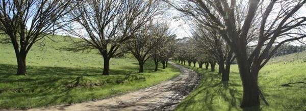 Private House - Crookwell (5/02/2016)