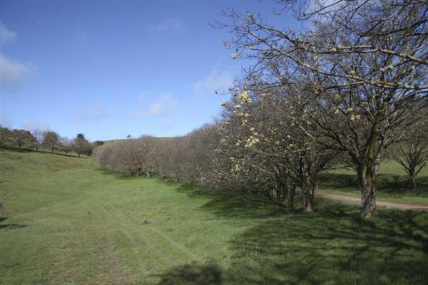 Private House - Crookwell (5/02/2016)
