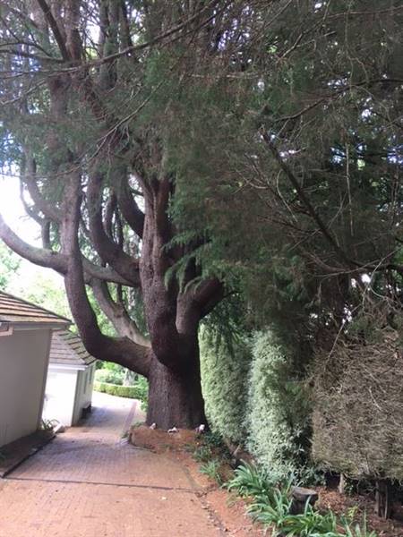 The Ridge at Bowral (18/12/2015)
