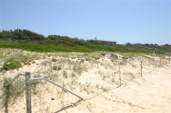 South Maroubra Beach (2/02/2006 - Credits: Lisa Scope)