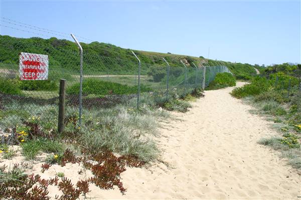 South Maroubra Beach (2/02/2006 - Credits: Lisa Scope)