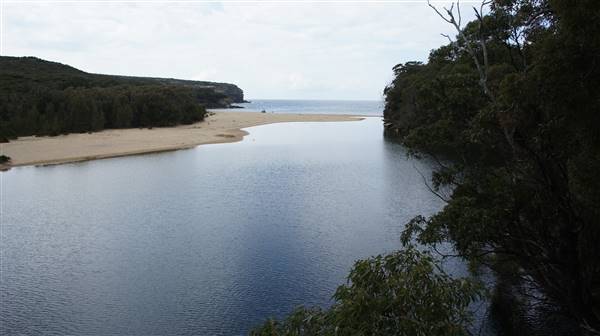 Wattamolla Beach (1/07/2016 - Credits: Mary Barltrop)