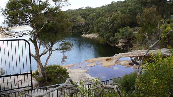 Wattamolla Beach (1/07/2016 - Credits: Mary Barltrop)