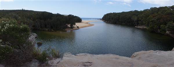 Wattamolla Beach (1/07/2016 - Credits: Mary Barltrop)