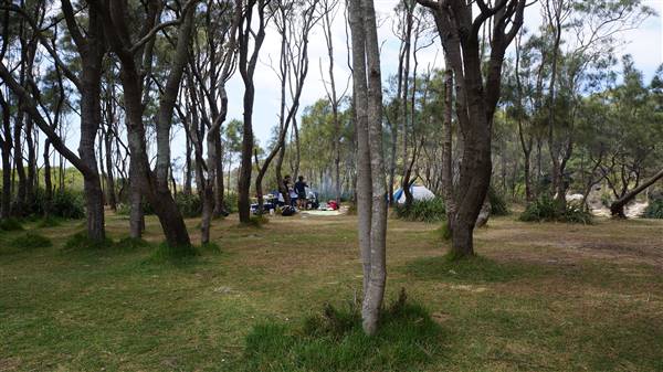 Wattamolla Beach (1/07/2016 - Credits: Mary Barltrop)