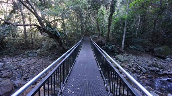 Minnamurra Rainforest Walk - Budderoo National Park (2/07/2016 - Credits: Mary Barltrop)