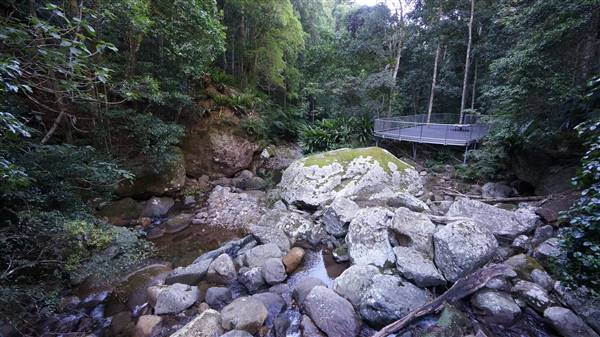 Minnamurra Rainforest Walk - Budderoo National Park (2/07/2016 - Credits: Mary Barltrop)