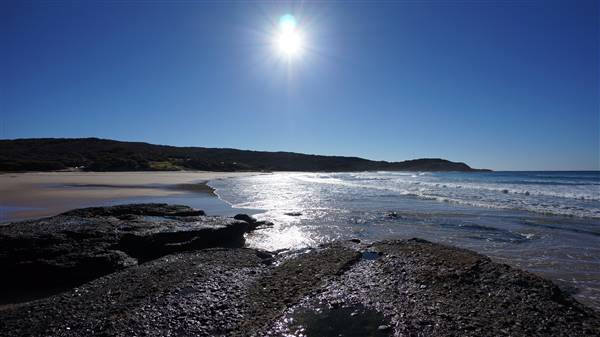 Frazer Beach Campground - Munmorah State Conservation Area (4/07/2016 - Credits: Mary Barltrop)