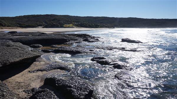 Frazer Beach Campground - Munmorah State Conservation Area (4/07/2016 - Credits: Mary Barltrop)