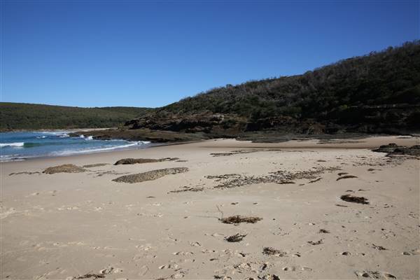 Munmorah State Conservation Area - Snapper Pt and Bongon Beach (4/07/2016)