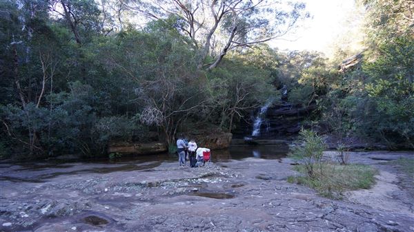 Somersby Falls picnic area - Brisbane Water National Park (4/07/2016 - Credits: Mary Barltrop)