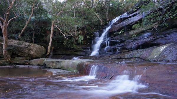 Somersby Falls picnic area - Brisbane Water National Park (4/07/2016 - Credits: Mary Barltrop)