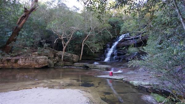 Somersby Falls picnic area - Brisbane Water National Park (4/07/2016 - Credits: Mary Barltrop)