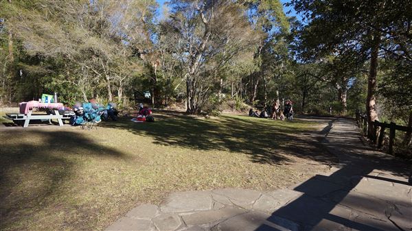 Somersby Falls picnic area - Brisbane Water National Park (4/07/2016 - Credits: Mary Barltrop)