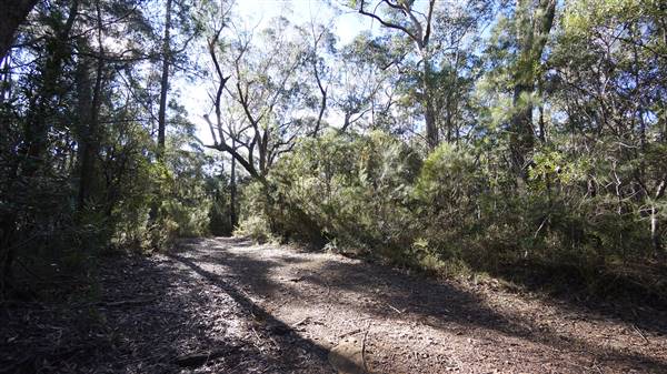 Fitzroy Falls & Twin Falls - Morton National Park (4/07/2016 - Credits: Mary Barltrop)