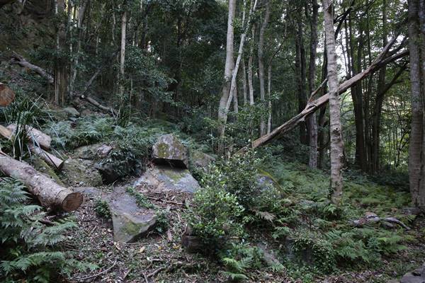 Mount Keira Scout Camp File 1 (5/07/2016)