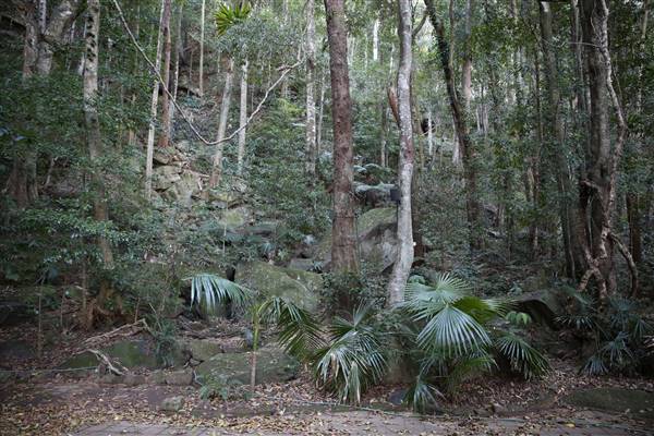 Mount Keira Scout Camp File 1 (5/07/2016)