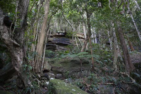 Mount Keira Scout Camp File 1 (5/07/2016)
