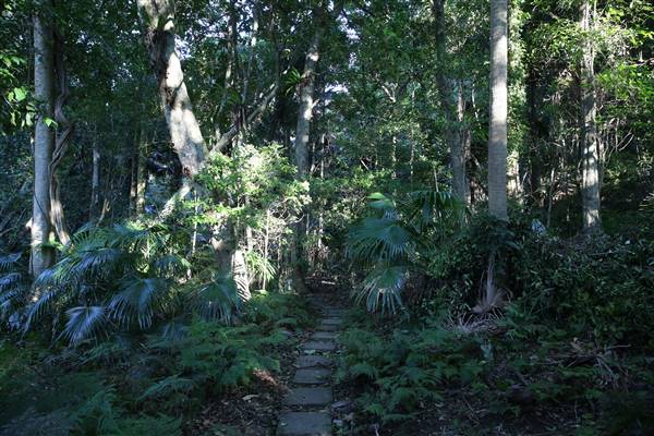 Mount Keira Scout Camp File 1 (5/07/2016)