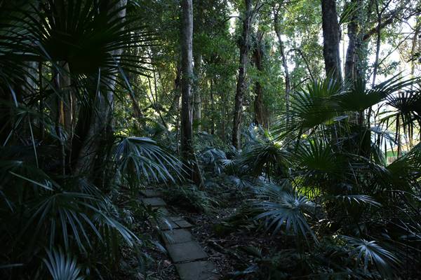 Mount Keira Scout Camp File 1 (5/07/2016)