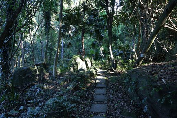 Mount Keira Scout Camp File 1 (5/07/2016)