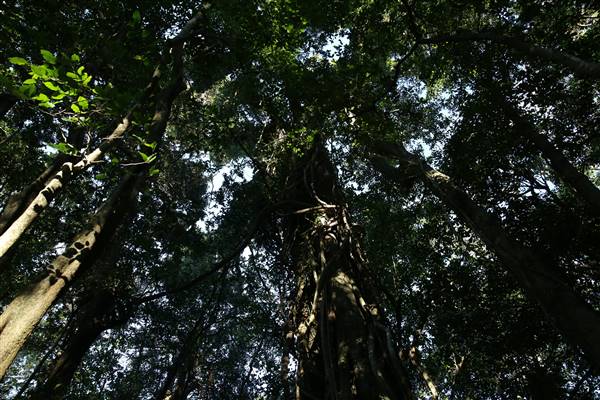 Mount Keira Scout Camp File 1 (5/07/2016)