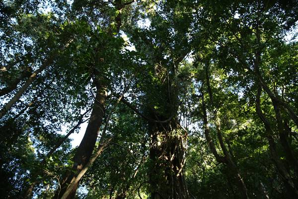 Mount Keira Scout Camp File 1 (5/07/2016)