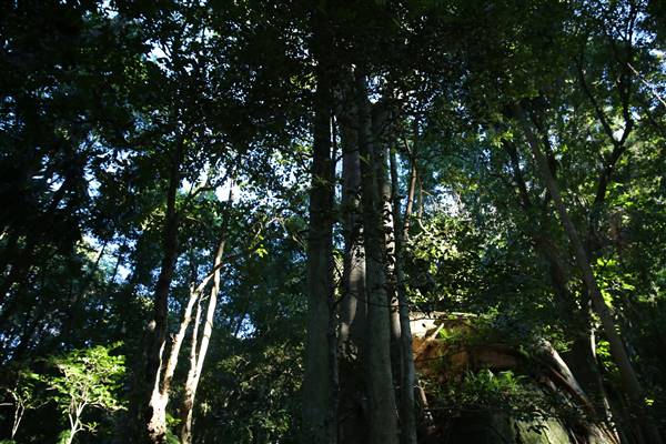 Mount Keira Scout Camp File 1 (5/07/2016)