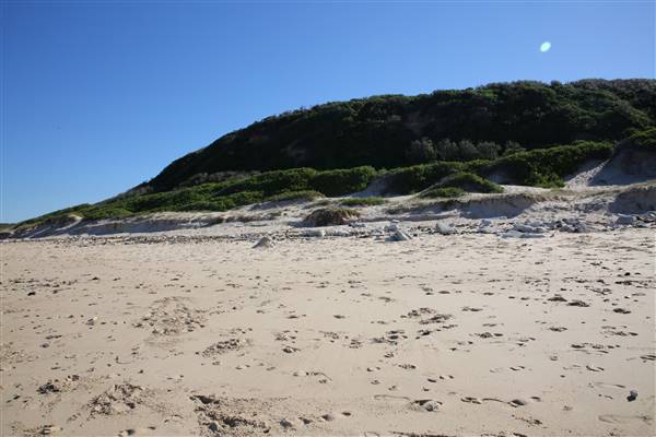 Caves Beach North (18/07/2016)
