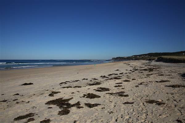 Caves Beach North (18/07/2016)