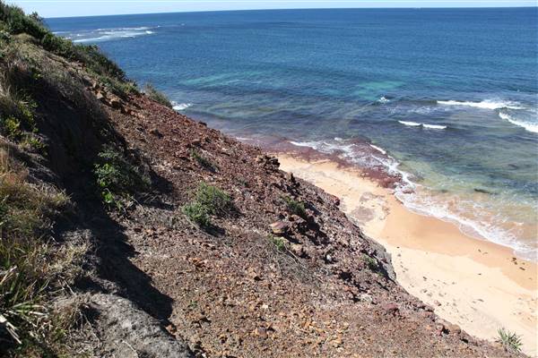Long Reef Beach (15/10/2016 - Credits: John Harris)