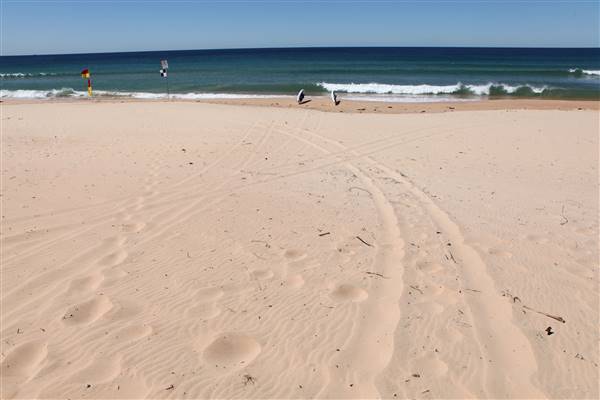 Long Reef Beach (15/10/2016 - Credits: John Harris)