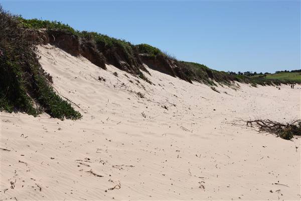 Long Reef Beach (15/10/2016 - Credits: John Harris)