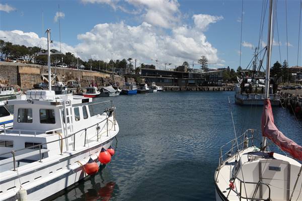 Wollongong - Foreshore and Wharf (26/10/2016 - Credits: John Harris)