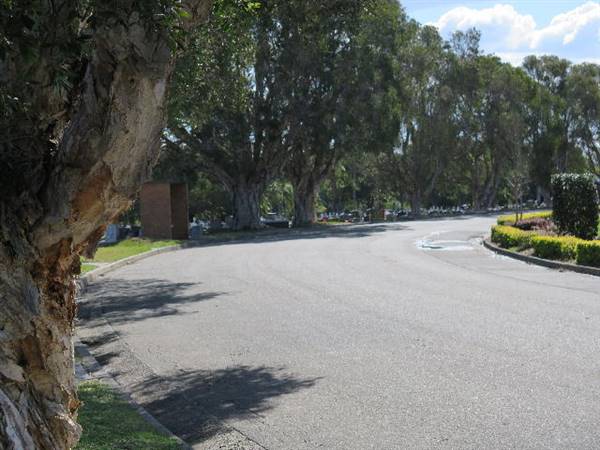 Rookwood Cemetery (10/11/2016 - Credits: Peter Hicks)