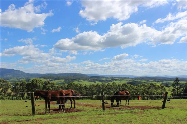 Rosebank Farm (1/04/2017 - Credits: Diana McLaren)
