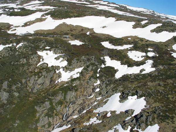 Snowy Mountains region (12/07/2017 8:28:10 PM)