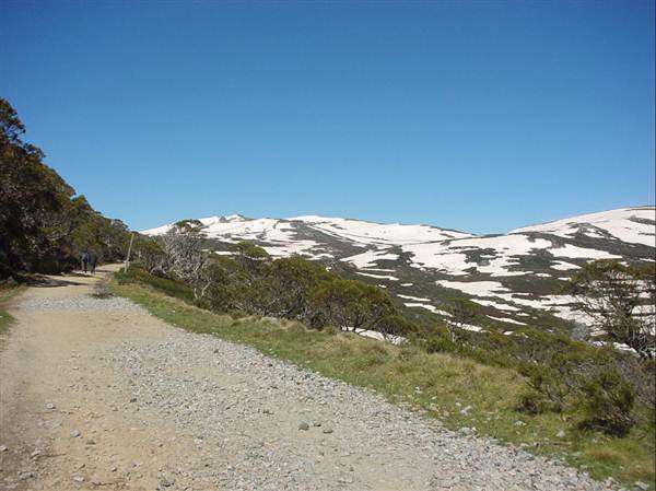 Snowy Mountains region (12/07/2017 8:28:19 PM)