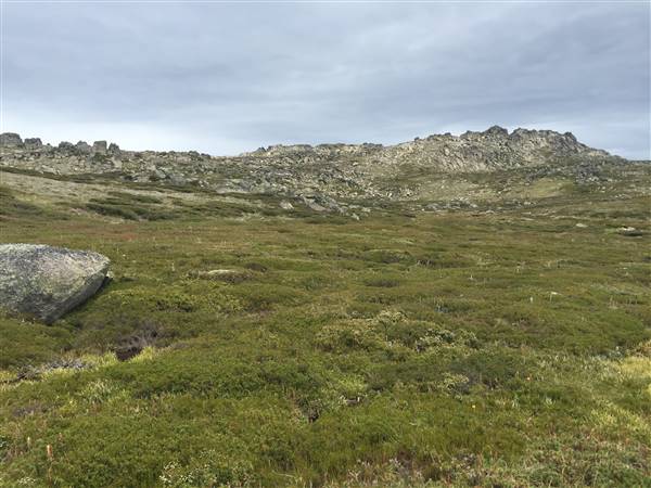 Snowy Mountains region (12/07/2017)