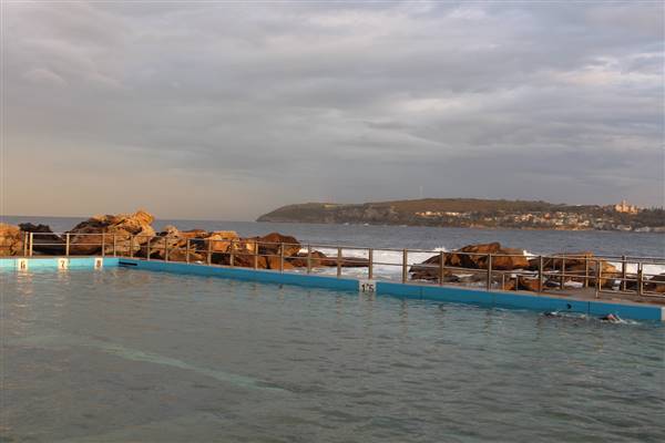 Freshwater Beach & Rockpool (14/07/2017 - Credits: Jeremy Peek)