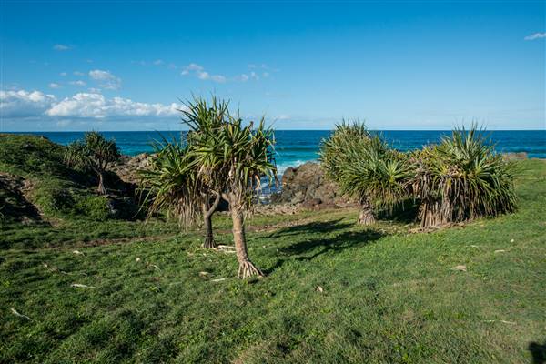 Hastings Point (26/07/2017)